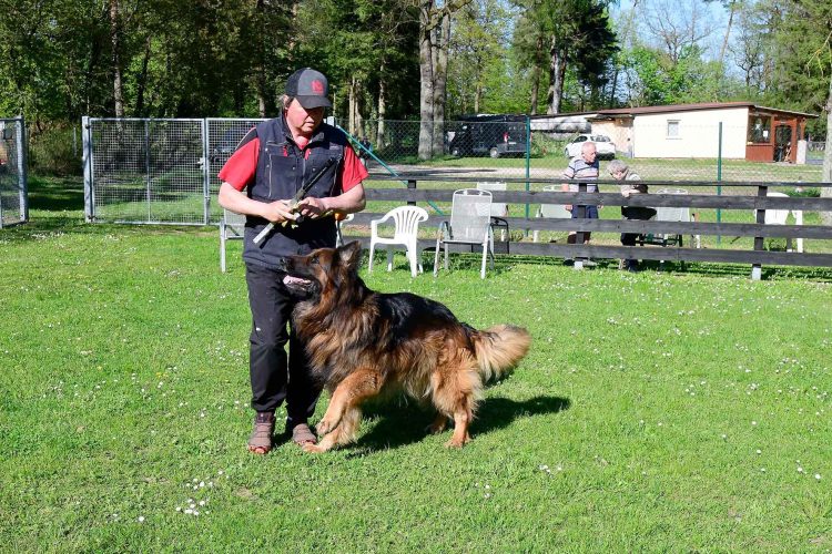 #Deutschland, #Bayern, #Franken, #Mittelfranken, #LandkreisFürth, #Roßtal, #Schäferhundevereinroßtal, #Schäferhunde, #Schäferhundeverein, #Hundesport, #Ausbildung, #Verkehrssicherheit, #Unterordnung, #MetropolregionNürnberg,