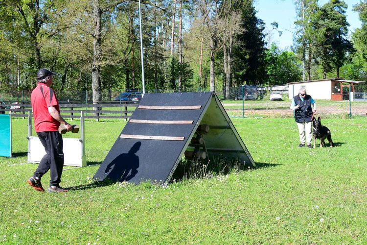#Deutschland, #Bayern, #Franken, #Mittelfranken, #LandkreisFürth, #Roßtal, #Schäferhundevereinroßtal, #Schäferhunde, #Schäferhundeverein, #Hundesport, #Ausbildung, #Verkehrssicherheit, #Unterordnung, #MetropolregionNürnberg,