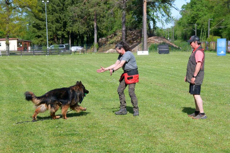 #Deutschland, #Bayern, #Franken, #Mittelfranken, #LandkreisFürth, #Roßtal, #Schäferhundevereinroßtal, #Schäferhunde, #Schäferhundeverein, #Hundesport, #Ausbildung, #Verkehrssicherheit, #Unterordnung, #MetropolregionNürnberg,